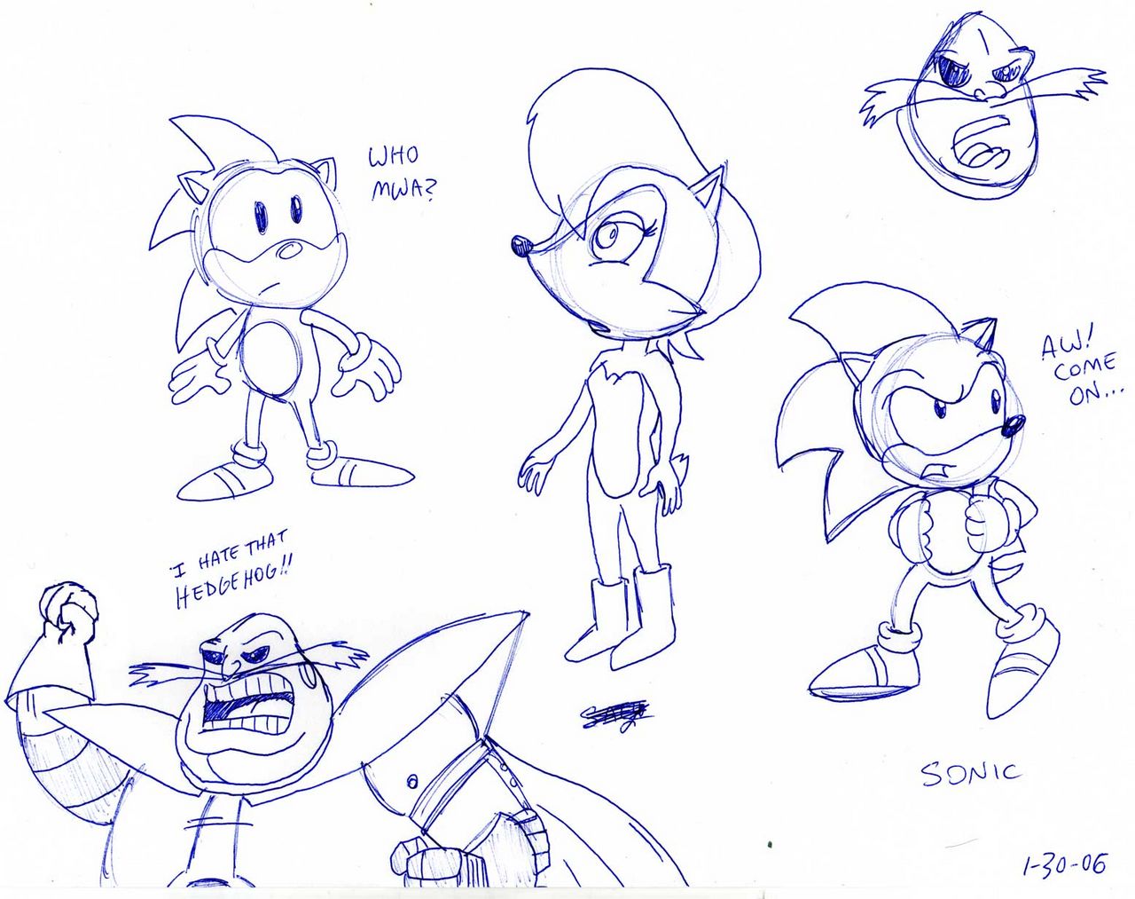 Sonic_1_30_06.jpg
